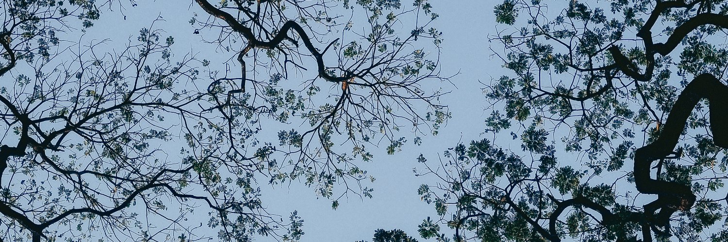 notdenzo's profile banner image