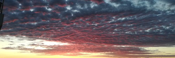 Fruitgrader Profile Banner