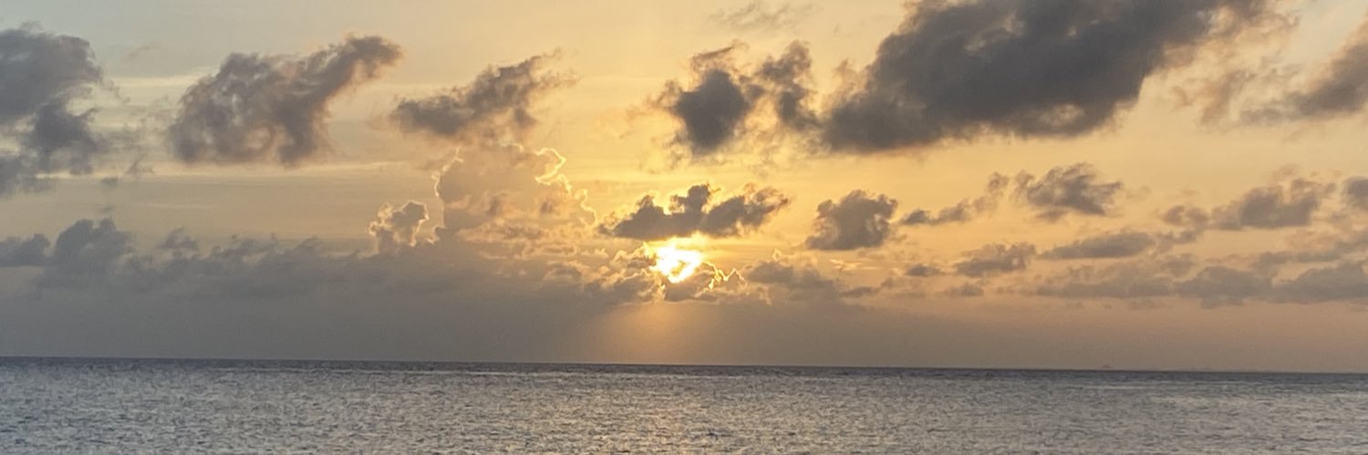 lapilytorres's profile banner image