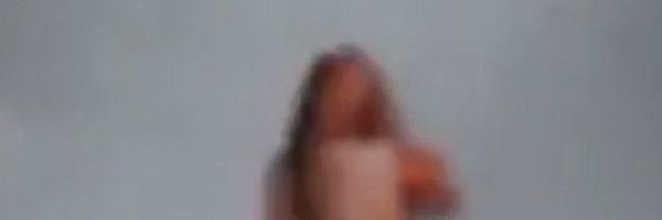 blooberryfox Profile Banner