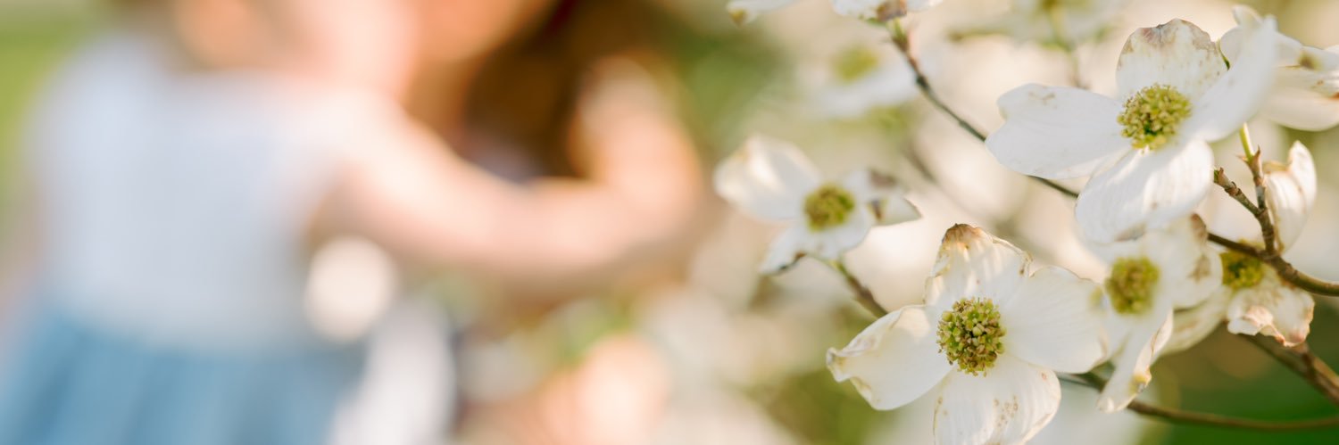 sabradshaw's profile banner image