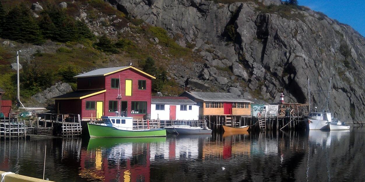 BlueberryWine* 🫐 banner