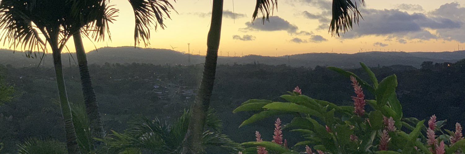 MeldoggMorgan's profile banner image