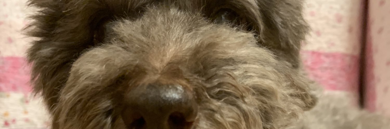 しっくすびっと banner