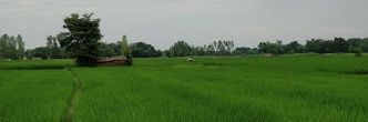 Amethi banner