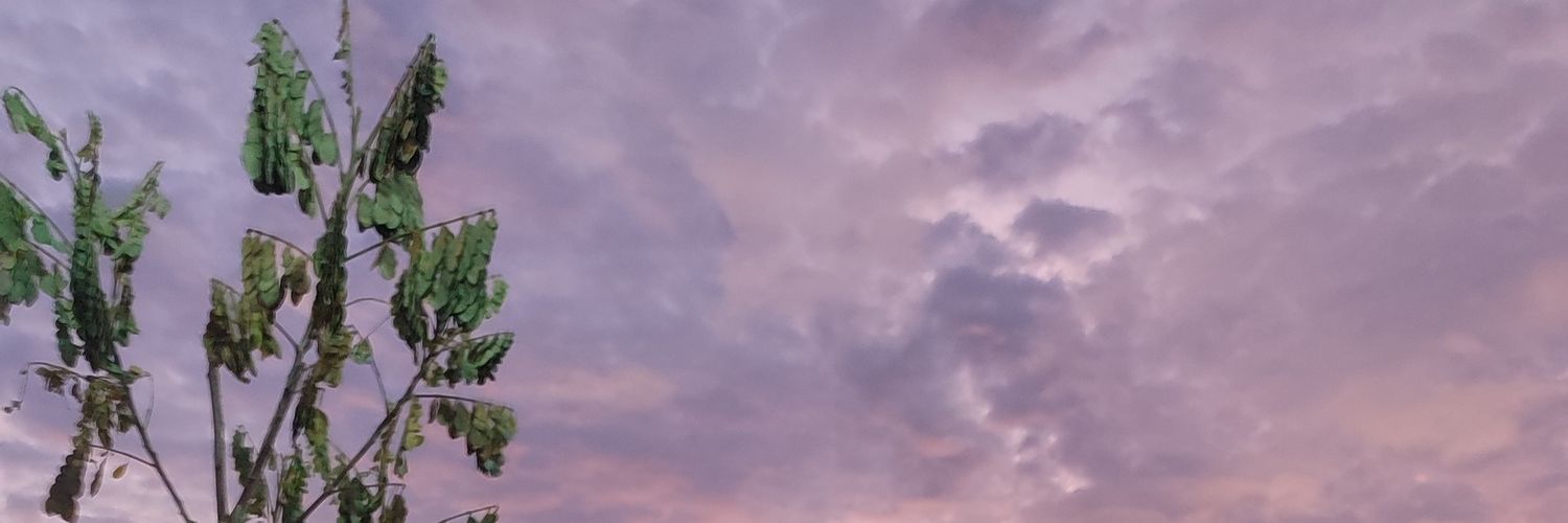awidyade's profile banner image