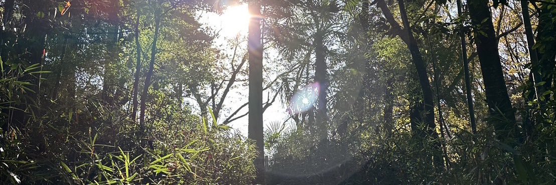t_ueda6's profile banner image