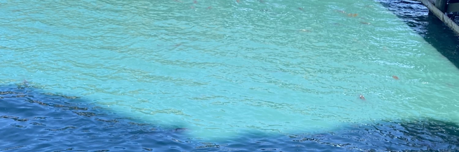 Caleb banner