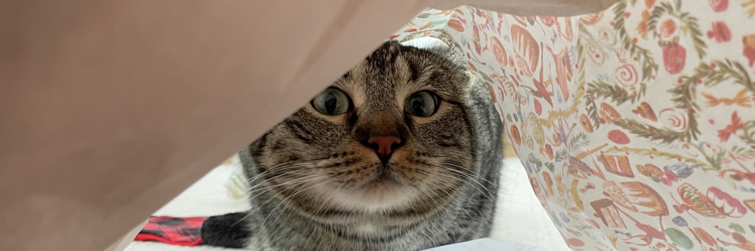 j_tapeworm's profile banner image