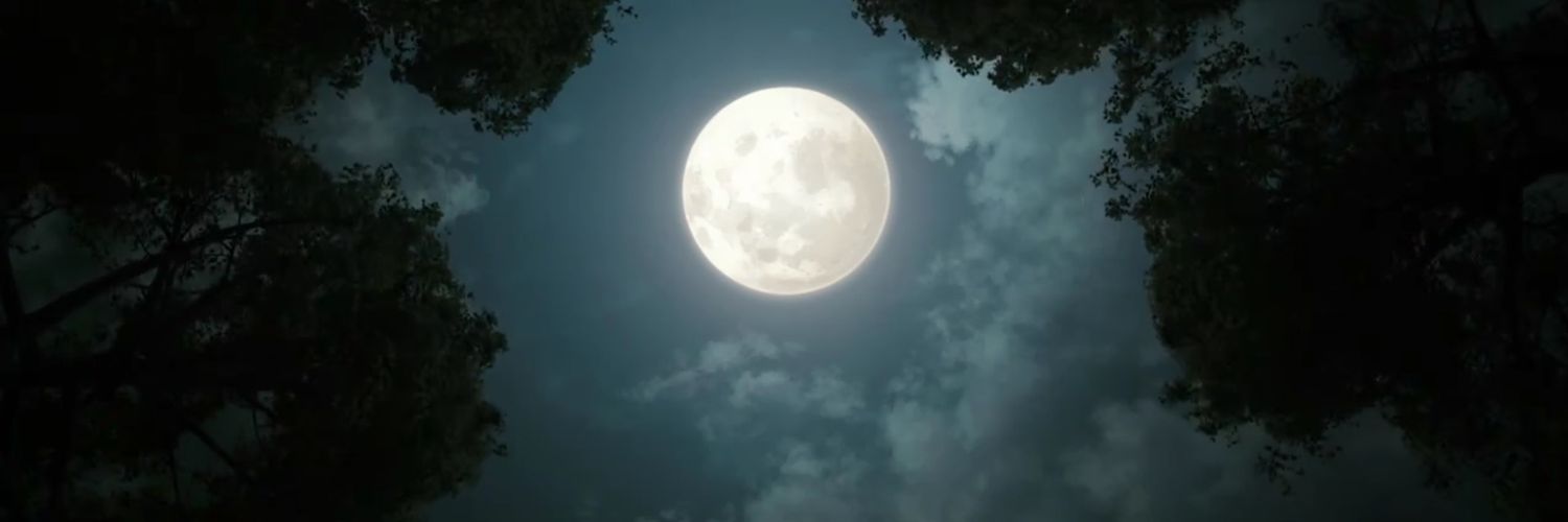 RmzJoey's profile banner image