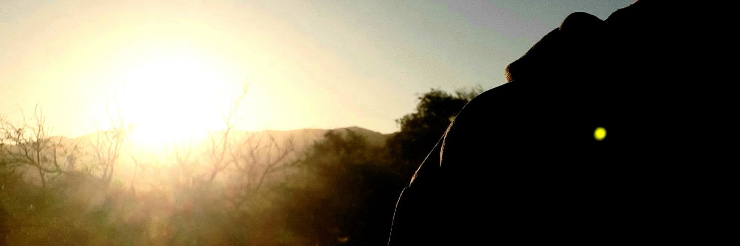 davidelias_c's profile banner image