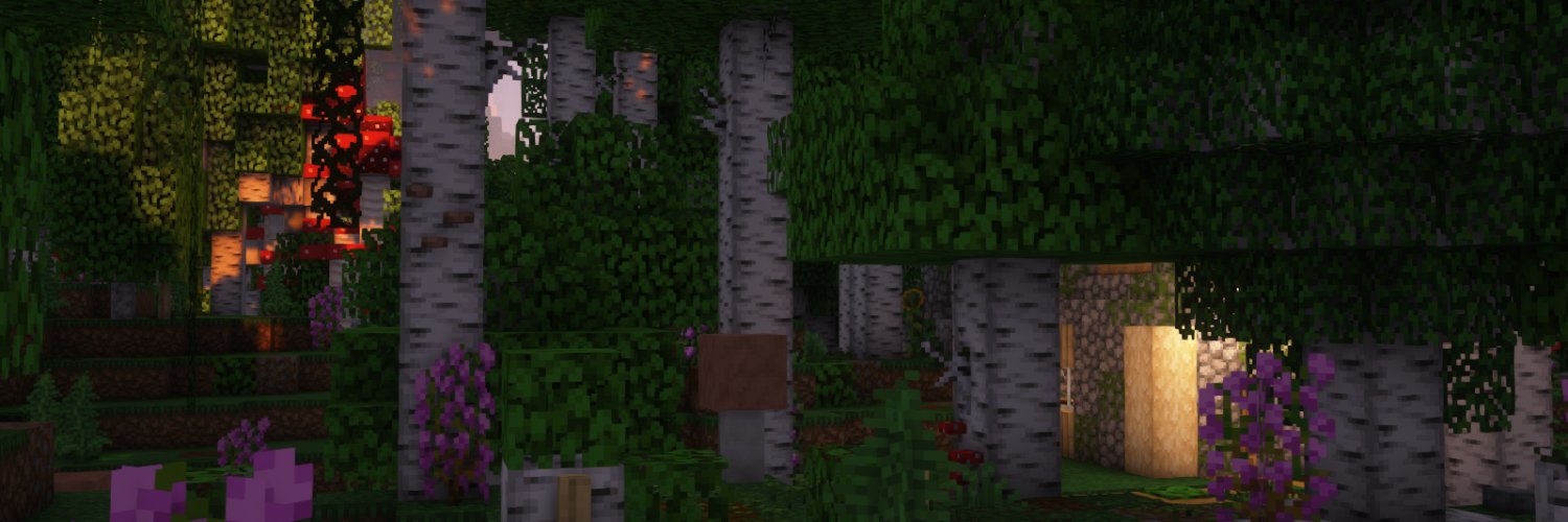 StarIightStudio's profile banner image