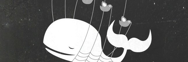 imhsps's profile banner image
