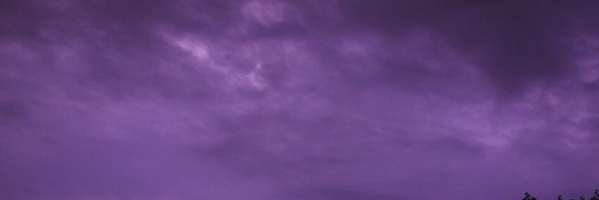 michelle banner