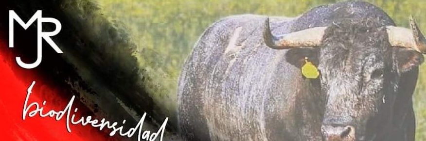 CaparicaMJR's profile banner image