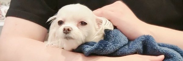 RealCode9 Profile Banner