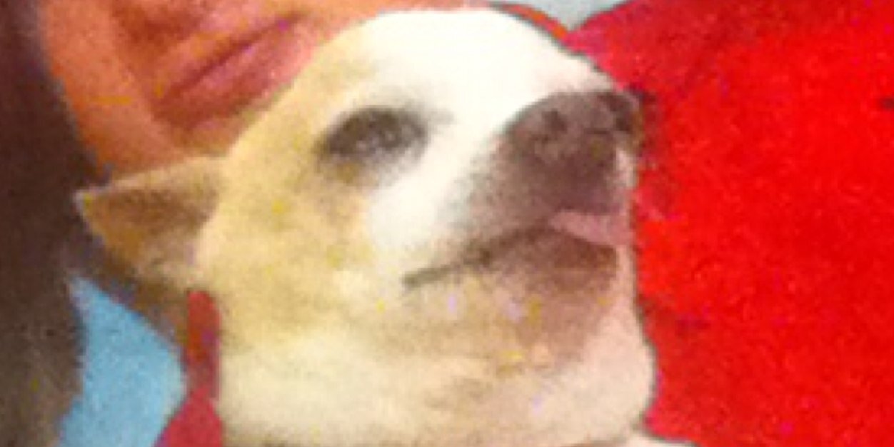 Slater_Gator1's profile banner image