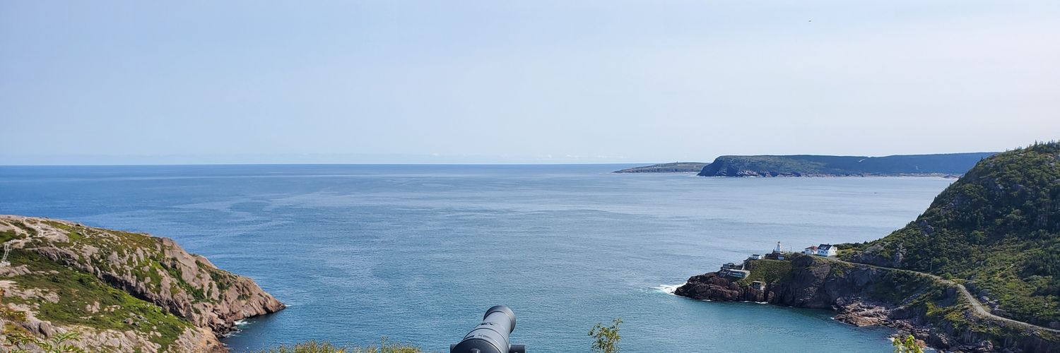 lillianfidler's profile banner image