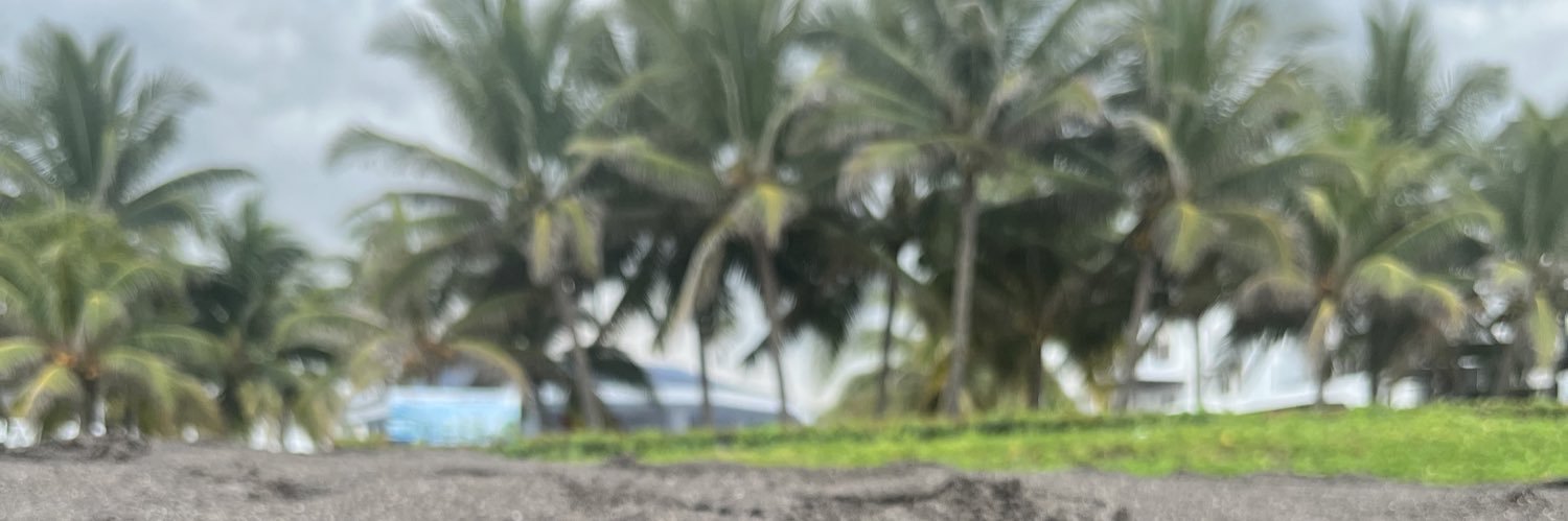 A n d r e a banner