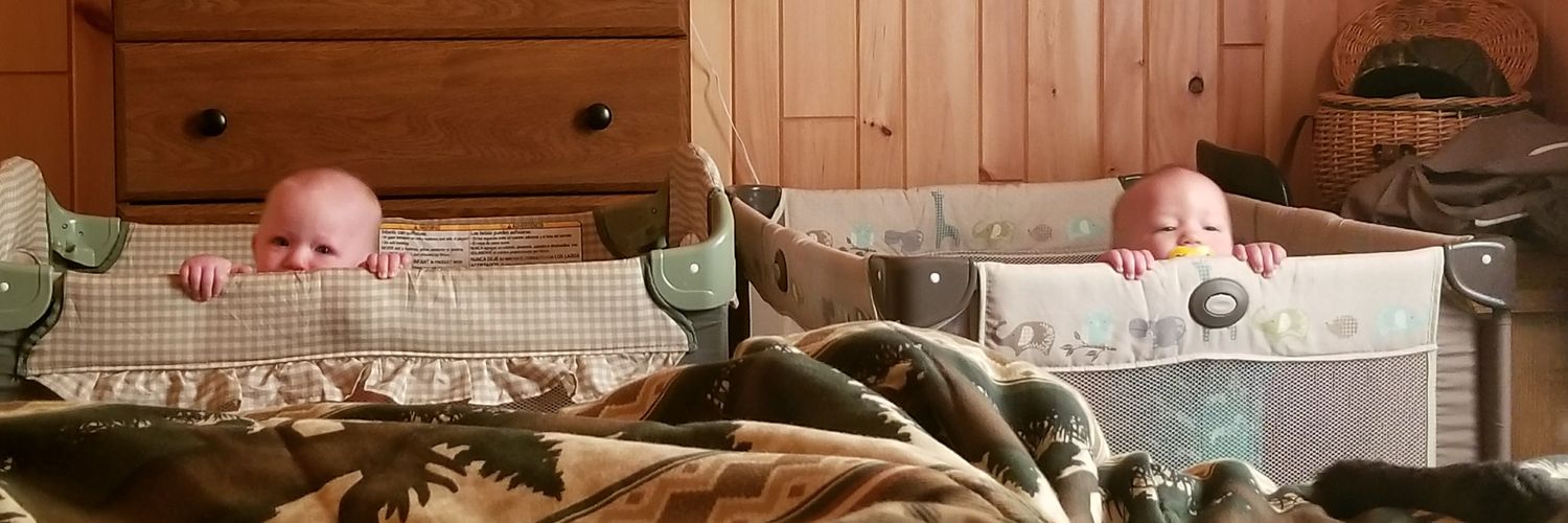 jedriegelman's profile banner image