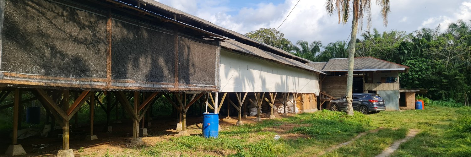 edisolihin's profile banner image