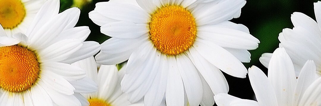 KaylaRays's profile banner image