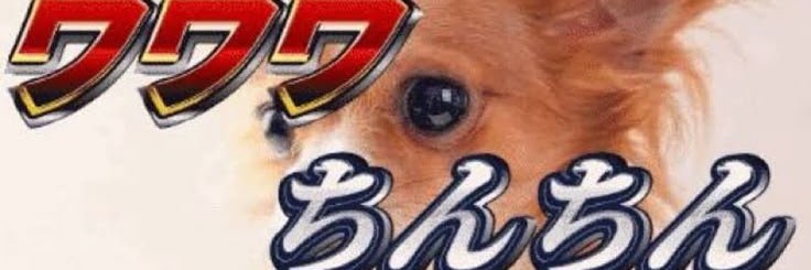 wind_pb's profile banner image