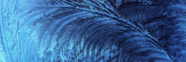 MissSharingAll Profile Banner