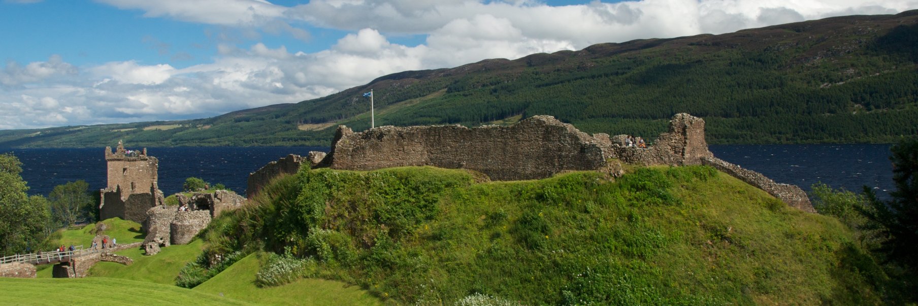 Verónica Cámara banner