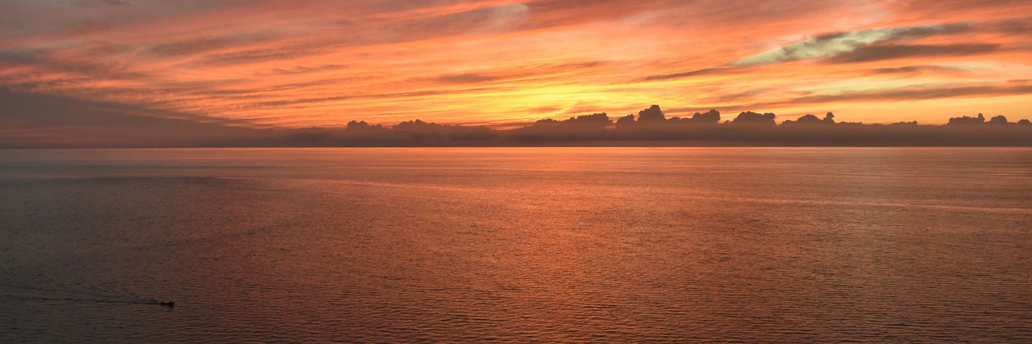 SalCinto's profile banner image
