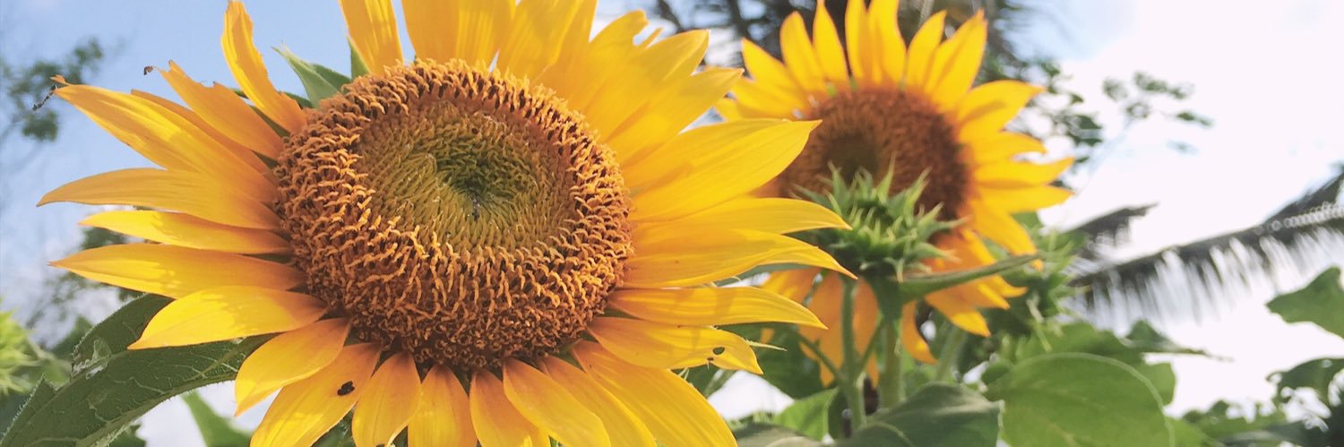 Cafinthemorning's profile banner image