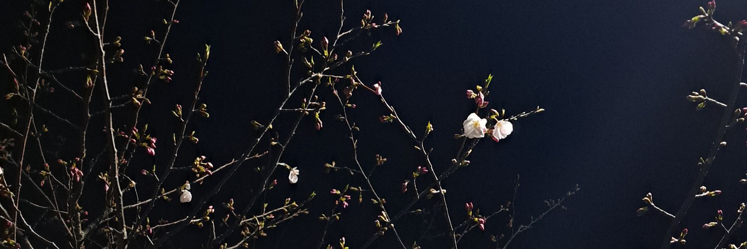 ゆい🩵Baby dolls banner