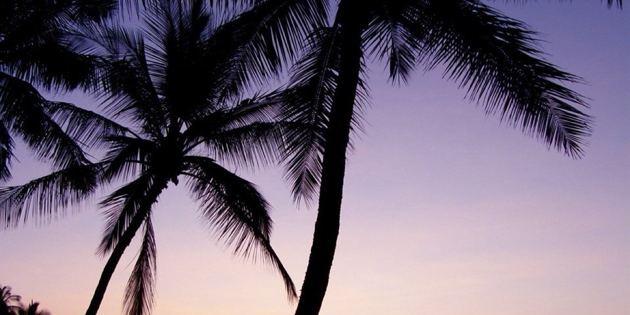 miiipo6's profile banner image