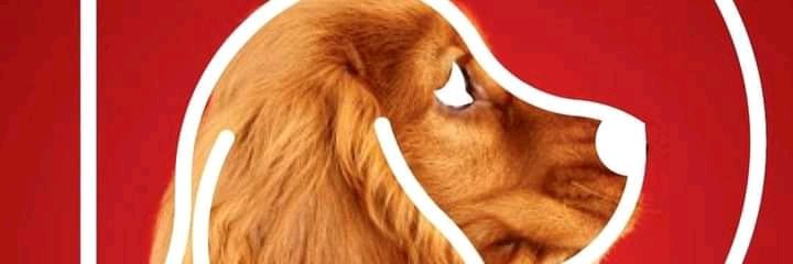 Locoenelsur's profile banner image