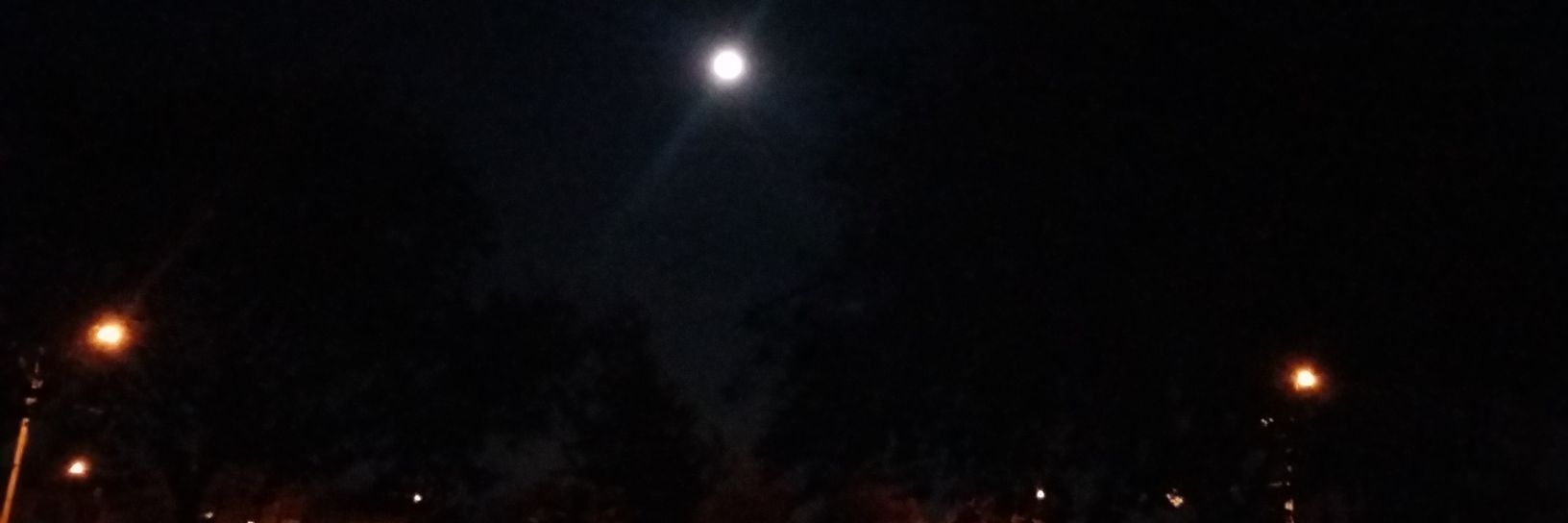 Sandra_Gonzalez's profile banner image