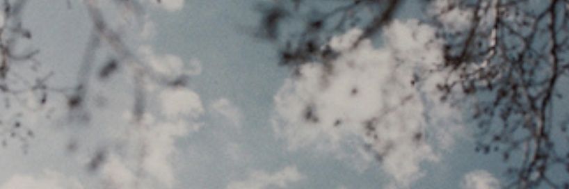 Mirandita banner