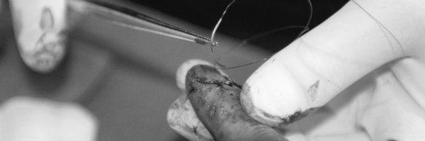 iem_student Profile Banner