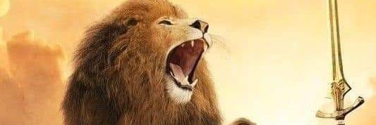 💚🤍JOHN💚🤍 banner