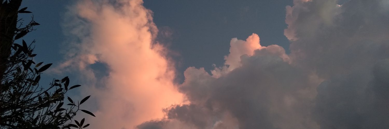 kattaloc's profile banner image
