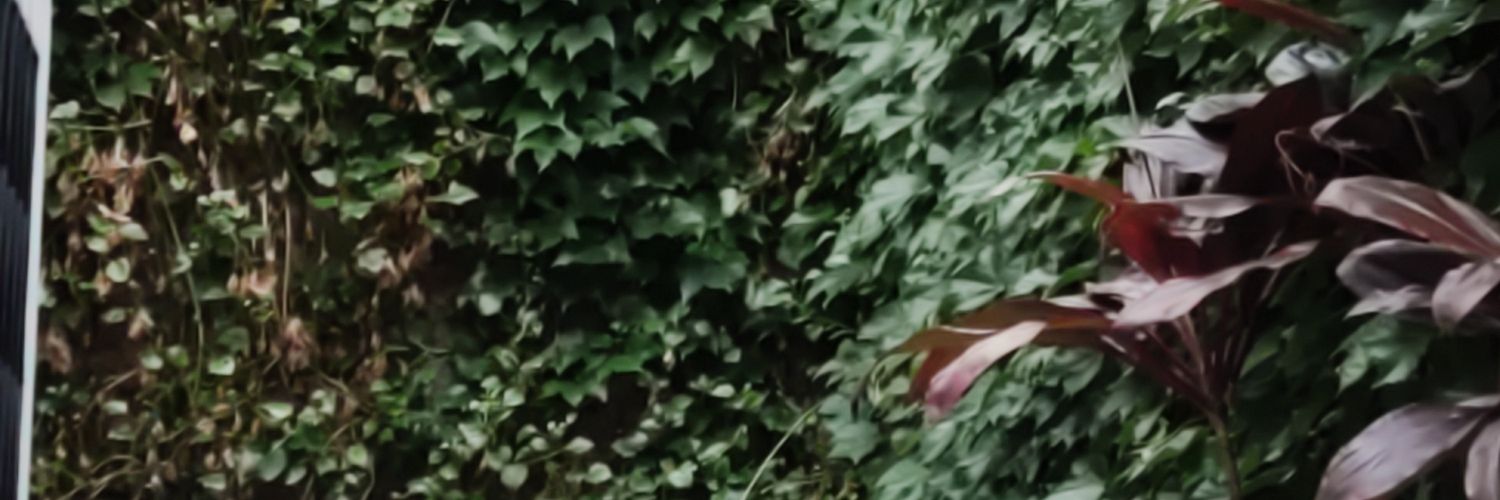 JorgeRabito's profile banner image