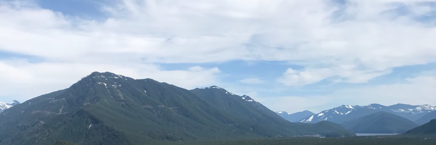D_SWEZEY's profile banner image