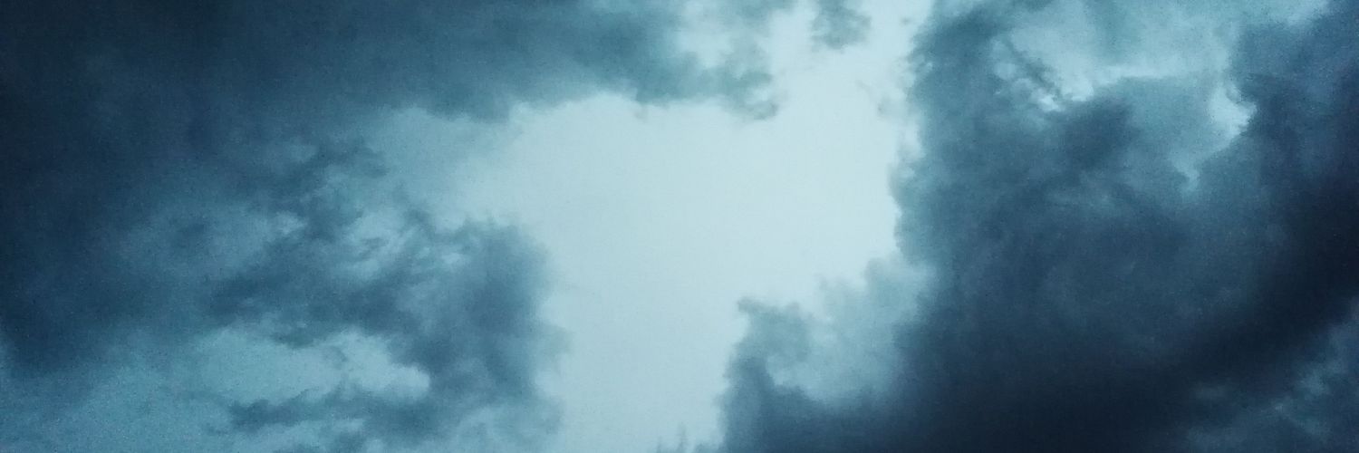 passngofthecrow's profile banner image