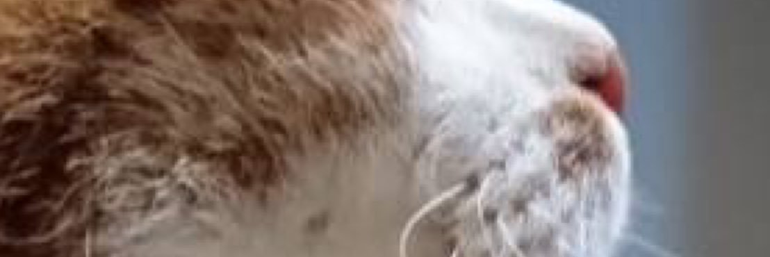 Ma67631254's profile banner image