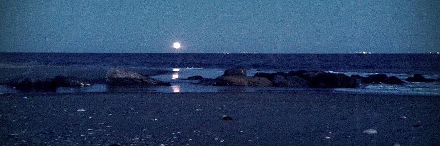 Dr. Ofelia Mangen banner