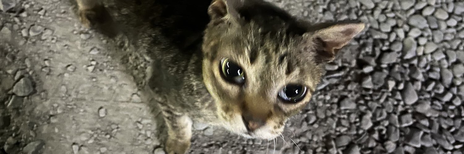 (ᓀ‸ᓂ) 🧃 banner