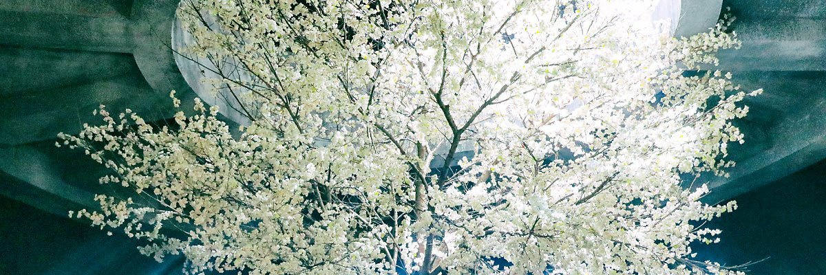 minvilee's profile banner image