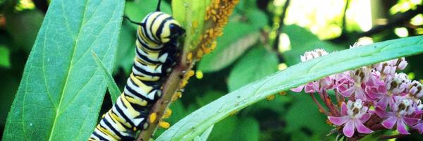 agduffy4 Profile Banner