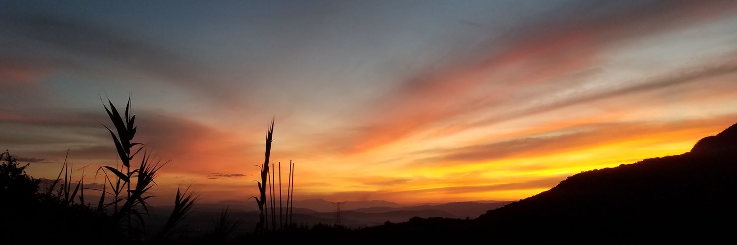 HozayPurez's profile banner image