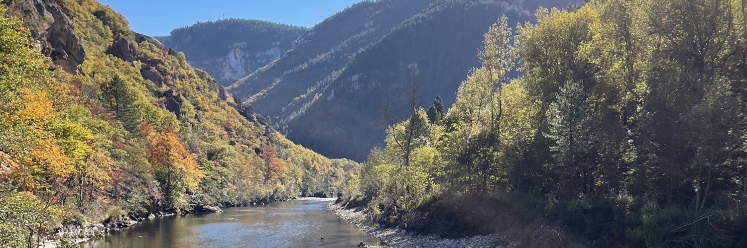 Patrick Calmels banner