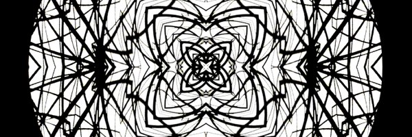 DeadNoiseSystem Profile Banner